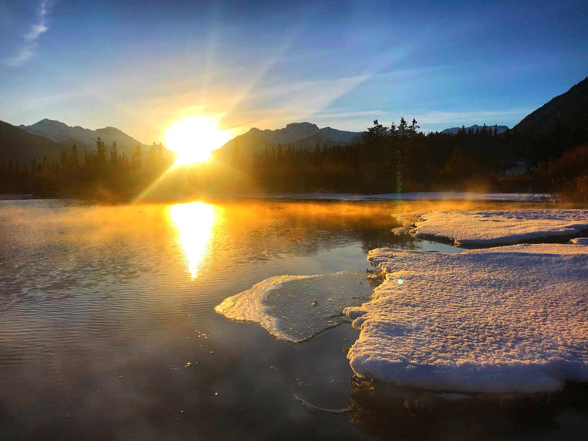 Read more about the article Why Vitamin D? All the health benefits and more!